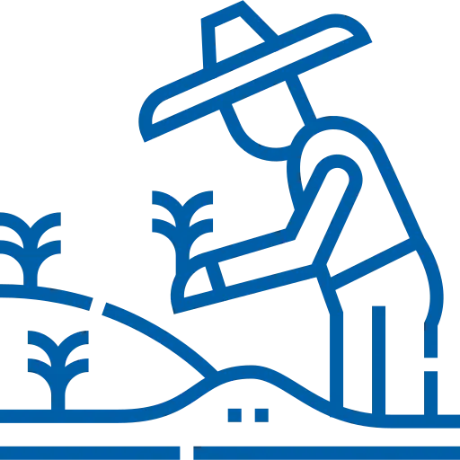 Enabling small-scale farmers